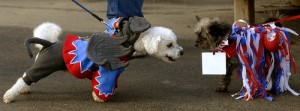 sns102608bowwowween13.jpg
